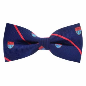 Bow ties | Mens Striped Fancy Bow Tie Accessories Bow ties