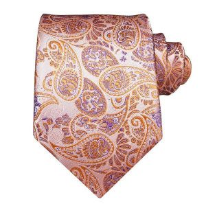 Ties | Mens Orange Purple Paisley Silk Tie Accessories Mens